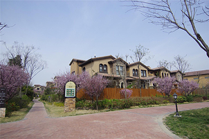 【酒店套餐】许昌花都温泉门票+住宿套餐丨独栋别墅 4室客房 家庭度假 轰趴