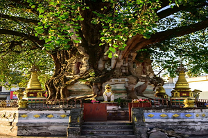 腾冲+瑞丽+芒市 5天4晚私家团【轻奢五钻酒店 换装旅拍 土陶DIY体验  赠森林温泉 】