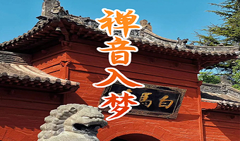 橄榄游●白马寺 1H人工讲解 专业资深讲师领讲 白马寺讲解