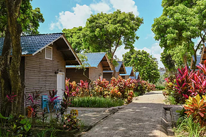 漳州长泰福友生态景区【围炉煮茶、烤窑鸡、过夜住宿套餐/过夜赠水果自助采摘、烤土窑】