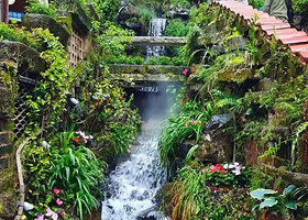 婺源篁岭一日游【婺源篁岭一日游（屯溪市区各酒店接站）全程纯玩，不进购物店】