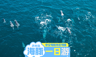 济州岛汉拿山+济州羊群牧场+山茶花之丘+柱状节理带+济州实弹射击场+涯月海岸道路一日游