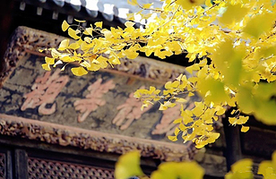 北京西山国家森林公园+大觉寺一日游【纯玩/独立包车/上门接送/时间自由】