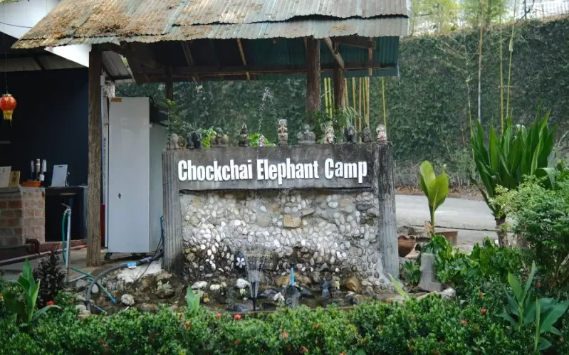 大象表演与丛林飞跃于一体的大象营