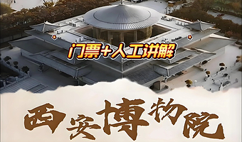 【可选6-9人小团】西安博物院+小雁塔+门票+人工讲解