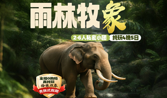 西双版纳傣族园+野象谷+曼听御花园+西双版纳总佛寺五日游【真纯玩6人团|雨林徒步|住喜来登|植物园|大佛寺】