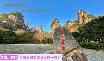【2-8VIP私家品质纯玩小包团】张家界国家森林公园（黄石寨+金鞭溪+十里画廊）一日游+导游服务+上门接送