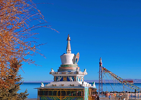 青海湖+日月山一日游【晚出发精品小团纯玩无购物】