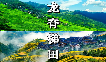 桂林龙脊梯田风景名胜区-金坑梯田+黄洛红瑶寨+金佛顶一日游【纯玩商务车8人小团，赠小份竹筒饭】