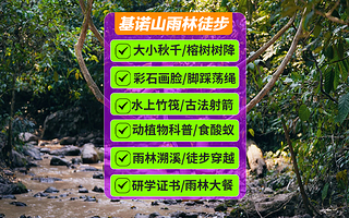 基诺山雨林徒步+基诺山雨林徒步旅游区一日游【赠正规研学证书+优质路线+向导+餐】