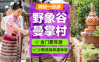 西双版纳野象谷+曼掌村一日游【含往返车+门票+0购物品质团】