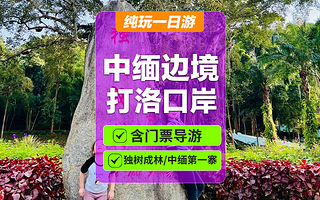 中缅国门+勐景来+独树成林景区一日游【赠勐景来电瓶车+纯玩无购物+品质团】