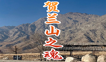 橄榄游●贺兰山岩画 2H人工讲解 资深讲师领讲 私享小团 贺兰山岩画讲解