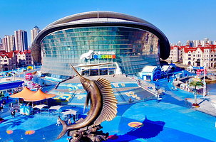 【酒店套餐】天津极地海洋酒店极地房1晚+早餐+双人天津极地海洋公园无限次+海豹投喂+多项权益