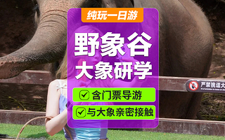 西双版纳野象谷一日游【含往返车+门票+0购物品质团 】