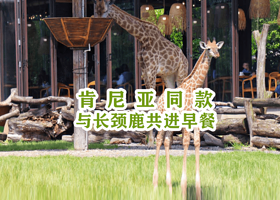 【限时促销】湖州长颈鹿庄园酒店-五钻官方住宿含2大1小门票+观光车+早餐-赠栖·sail沙滩+赠旅拍+萌宠乐园