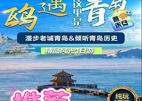 【拼小团】“鸥遇青岛” 风光一日游9人小团【赠送旅拍，市内三区免费接送，悠闲踏浪，沐浴海风】