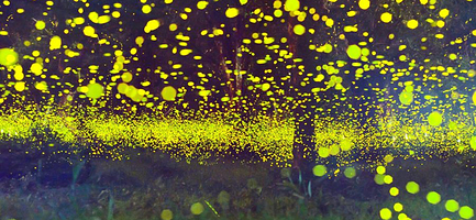 地下大峡谷+萤火虫水洞一日游【连云港出发 】