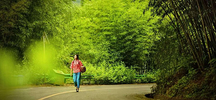 王府竹海度假旅游区一日游【洛阳出发】