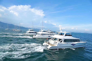 惠州合正东部湾出海体验【尾波冲浪/帆船/游艇出海体验】