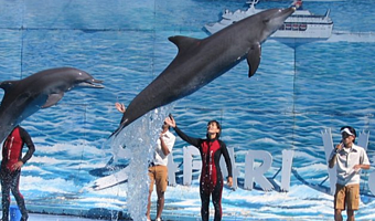 曼谷野生动物世界一日游【曼谷野生动物园+海洋公园，2-4人小团可选，可升级含餐套餐，专车接送，多套餐任选】