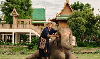 曼谷大象营保护园半日游，可选上午场/下午场，指定区域酒店接送，多个套餐可选