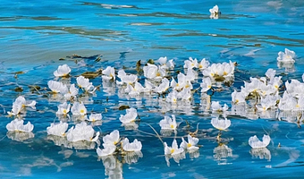 丽江泸沽湖二日游【真纯玩+赠送民族服装2天+360°环湖+4-16人】