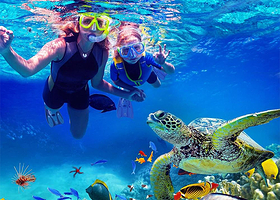 马来西亚沙巴环滩岛一日游【RIA基地/环滩之恋/浮潜/深潜/kawa红树林】市区往返接送+中文导游