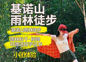 【私家团】西双版纳基诺山雨林徒步一日游/独立成团 沉浸式雨林穿越 赠送特色雨林大餐 多种体验项目 含专业向导