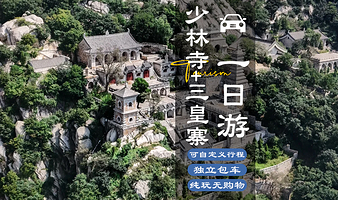 少林寺+三皇寨+塔林一日游【市区主干道酒店可接 人工讲解 附赠讲解耳机】