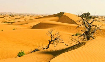 阿拉善盟腾格里沙漠一日游【五湖穿越8人小团】