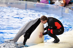 【官方周年庆】上海海昌海洋公园度假酒店1晚+2日无限次门票（双人/2大1小/2大2小套餐），VIP入园通道