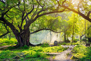 宁德花竹村一日游【杨家溪+杜家堡+花竹村+ 留云寺+醉美日落-东壁日落】