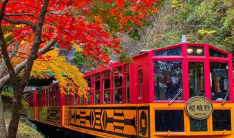 日本京都 岚山嵯峨野观光小火车  富贵5号车厢-车票（单程）【门票代订#】