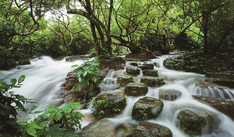 荔波小七孔景区+西江千户苗寨+镇远古城五日游【一单一团，出行更自由】