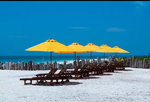 沙巴环滩岛一日游【亚庇环滩之恋/RIA浮潜-深潜一日游JY】