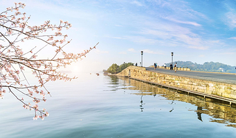 断桥残雪+灵隐寺+三潭印月+雷峰塔一日游【杭州一日游 Wu】