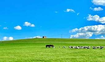 乌兰察布辉腾锡勒草原+乌兰察布乌兰哈达火山地质公园+鄂尔多斯响沙湾三日游【多团型可选】