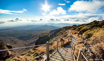 济州岛汉拿山+济州泰迪熊博物馆+柱状节理带+涯月海岸道路一日游【西南线纯玩拼团一日游 | 中文司导 】