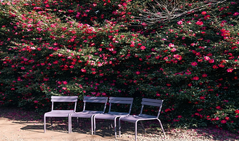 济州岛山茶花之丘+柱状节理带+挟才海水浴场+涯月海岸道路一日游【小羊牧场+追海豚西南线 | 精品小团 】