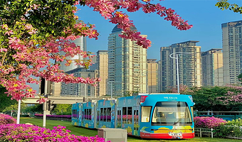 【私家团】外观广州塔+有轨电车+陈家祠+沙面+永庆坊+白云山+石室圣心大教堂+可选珠江夜游1日游+上门接送