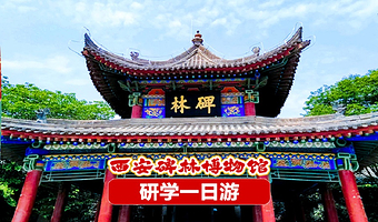 西安碑林博物馆门票+讲解【3小时大咖讲解  15人精品小团 赠拓片体验+精品茯茶】