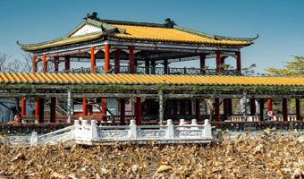 广州沙湾古镇+宝墨园+南粤苑+余荫山房一日游【包游私家团+四大名园+砖雕等非物质文化遗产+珠海出发+番禺1线】