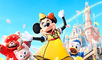上海迪士尼度假区一日游【免绕湖早入园+17/15/10项快速游玩+花车前排+热门演出，可选烟花占位】