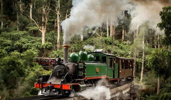 墨尔本普芬比利蒸汽火车+莫宁顿半岛+月光之旅野生动物保护园