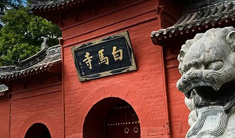 白马寺1小时讲解【20人团多场次/可选含门票或不含门票】