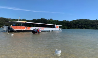 黄金海岸 捕螃蟹之旅（可选海鲜午餐）C