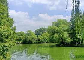 趵突泉景区+黑虎泉+五龙潭公园+解放阁+大明湖景区+曲阜三孔景区二日游