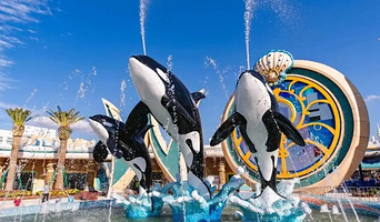 【酒店套餐】海昌金桥企鹅度假/企鹅万信酒店+上海海昌海洋公园2日门票+早餐+乐园接送车