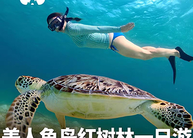【懒猫自营高端会所】沙巴美人鱼岛一日游天空之境打卡出片可加kawa红树林可选深潜